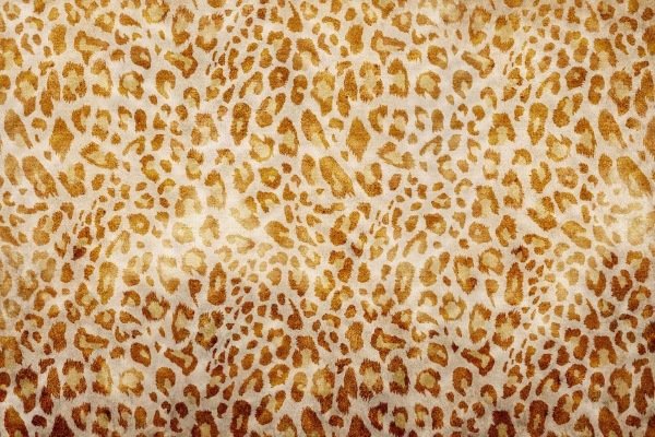 Leopar Desenli Duvar Motifi