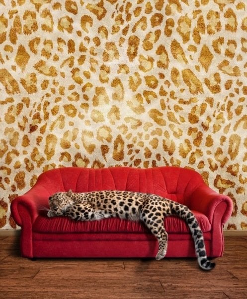 Leopar Desenli Duvar Motifi