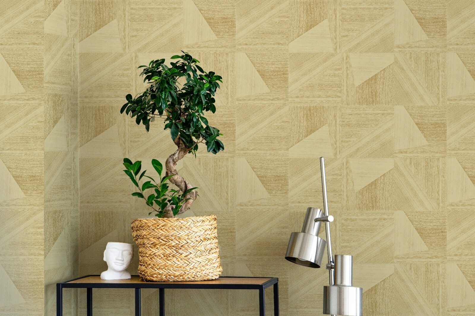 Canyon Elm H 4+