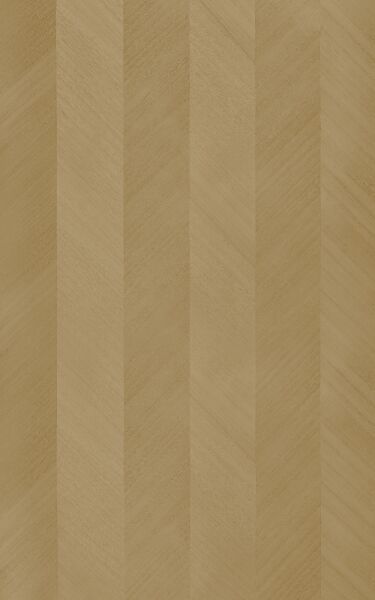 Canyon Elm H 4+