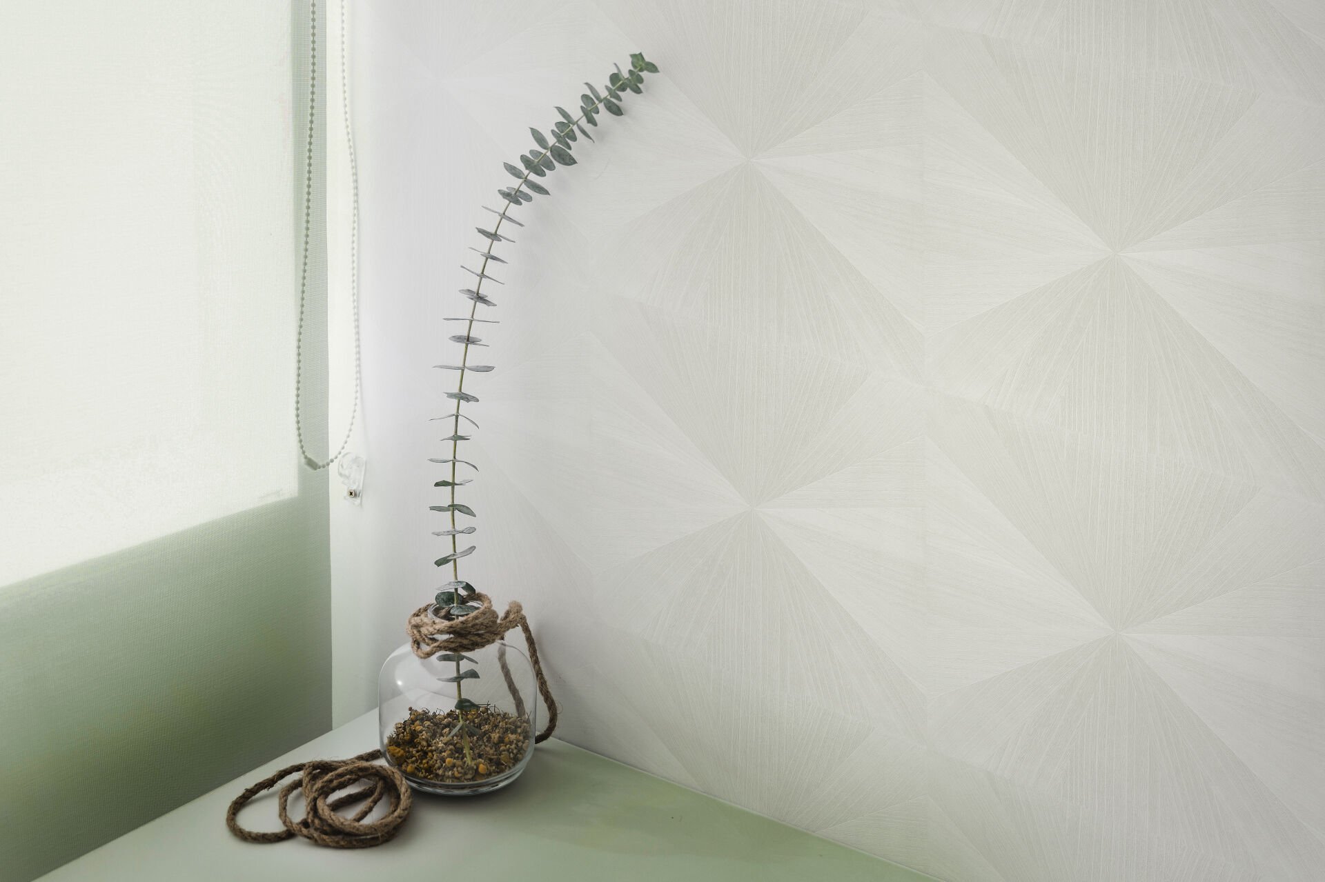 شبكة عاجية S 2+ DWDW10