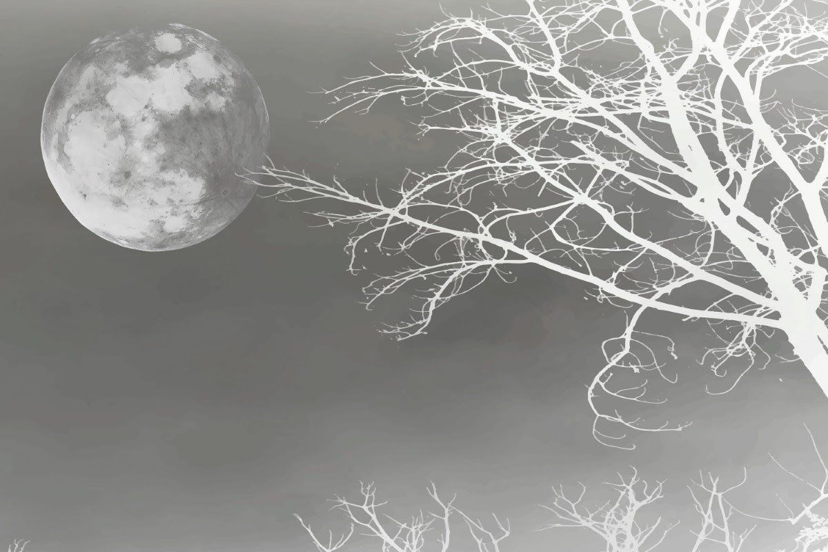 Ay ve Ağaç Manzarası Mat Görünümlü Vinil Duvar Kaplaması - Siyah Beyaz