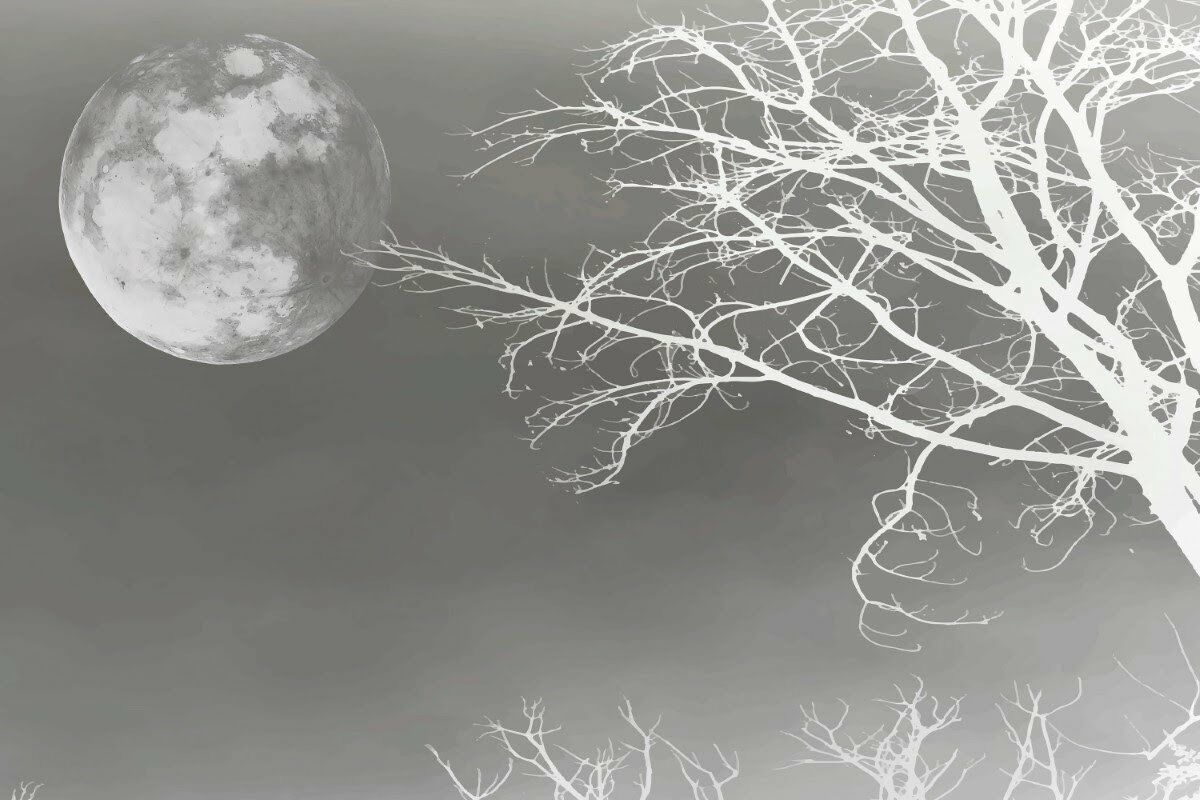 Ay ve Ağaç Manzarası Doğal İpek Duvar Kaplaması - Siyah Beyaz