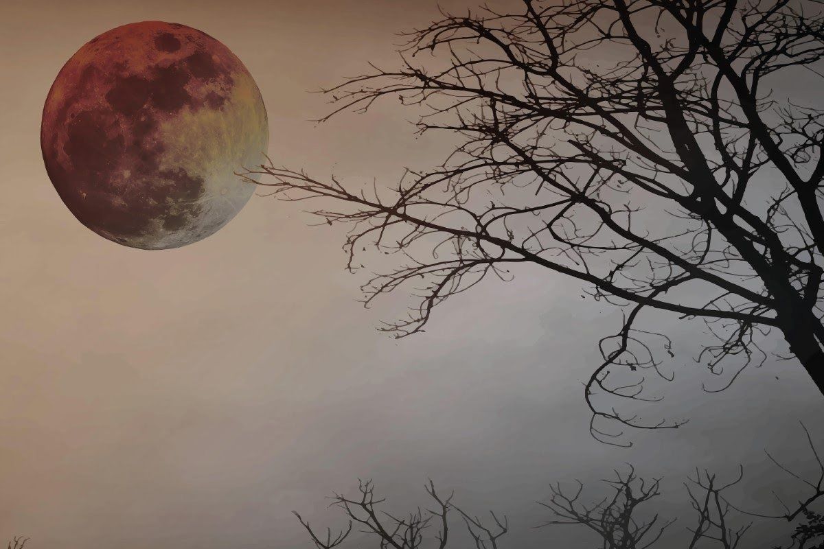 Ay ve Ağaç Manzarası Mat Görünümlü Vinil Duvar Kaplaması - Renkli