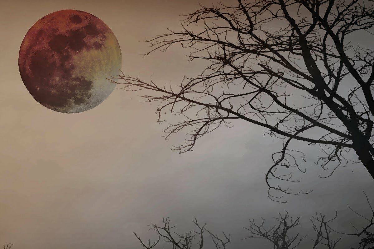 Moon and Tree Scenery Natural Wicker Wall Covering - Colorful