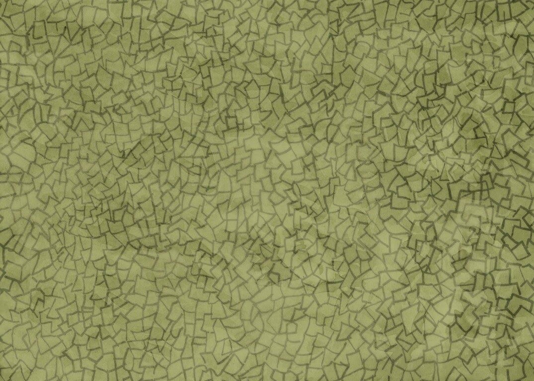 Pragmatik Fon Doğal Hasır Duvar Kaplaması - Yeşil