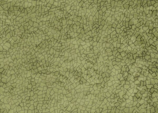 Pragmatik Fon Doğal Hasır Duvar Kaplaması - Yeşil