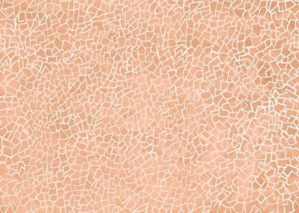 Pragmatik Fon Doğal İpek Duvar Kaplaması - Açık Pembe