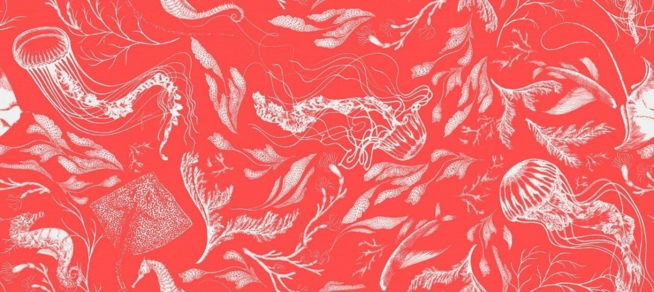 Denizde Yaşam Lacivert Doğal İpek Duvar Kaplaması - Kırmızı