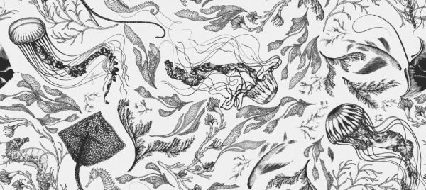 Denizde Yaşam Lacivert Mat Görünümlü Vinil Duvar Kaplaması - Beyaz