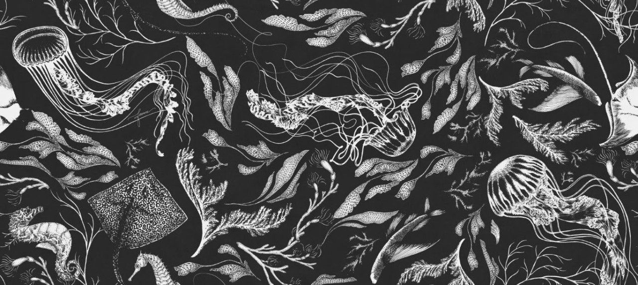 Denizde Yaşam Lacivert Tekstil Tabanlı Duvar Kaplaması (Banyo ve Islak Zeminler) - Siyah